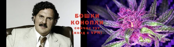 jwh Аркадак
